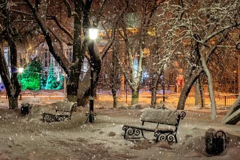 Bench in the winter park at night. Stock Photos