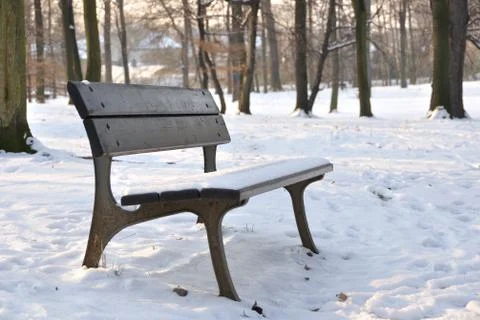 Bench in the winter park Stock Photos