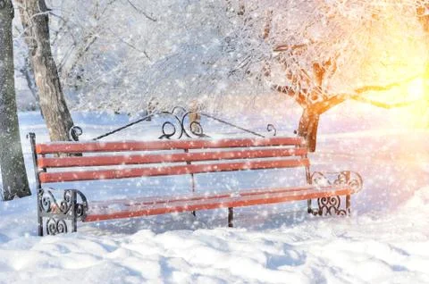 Bench in winter park Foto stock