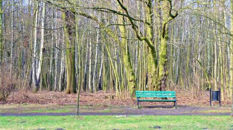 Bench in winter Fotos Stock