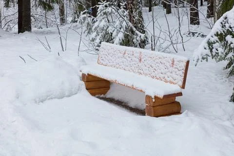 Bench in winter. Stock Photos