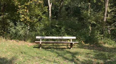 Bench in the Wood Video stock 1064694