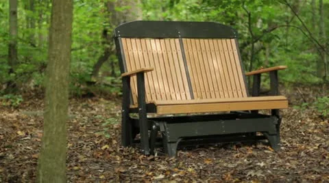 Bench in Woods -(Dolly Shot) Stock Footage 12098370