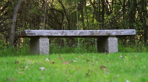 Bench in the Woods Vídeo Stock 36636940
