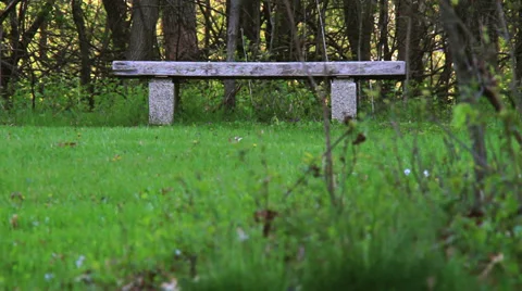 Bench in the Woods 動画素材 36637154