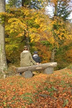 Bench in the woods Stock Photos