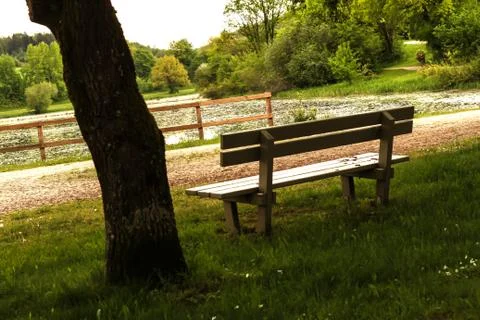 Bench in the woods Stock Photos