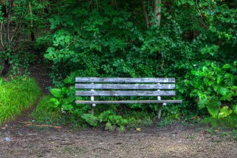 Bench in the woods Stock Photos