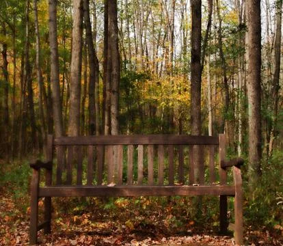 Bench in the woods Stock Photos