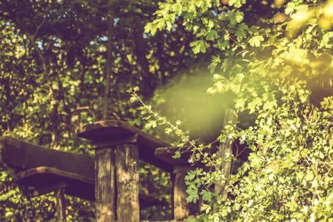 Bench in the woods Stock Photos