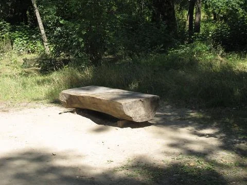 Bench in the woods 스톡 사진