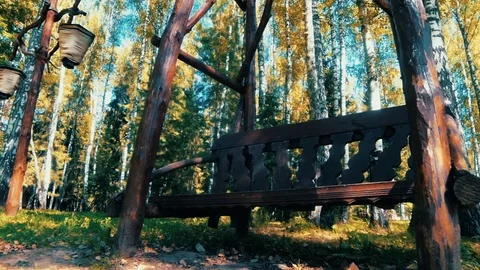 Bench in the woods (Russia) Stock Footage 72512932