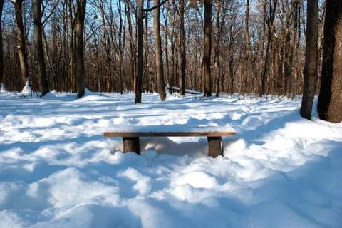 Bench in the woods in the snow Foto stock