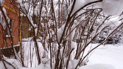 The bench in the yard in the snow Stock Footage 148102000