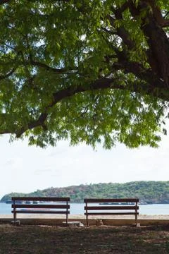 Benches along the path. Stock Photos