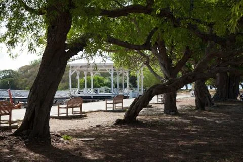 Benches along the path. Stock Photos