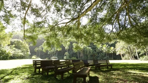 Benches and the Ocean Stock Footage 104784635