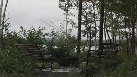 Benches around firepit in the forest by a lake Stock Footage 230999631