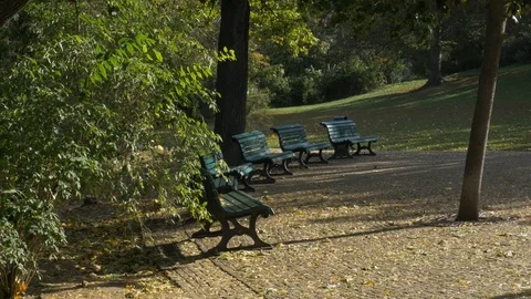 Benches in the autumn park Stock Footage 117965403