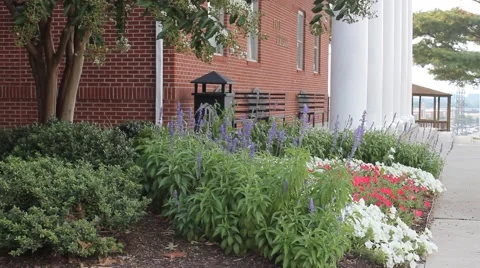 Benches on college campus Stock Footage 53200569