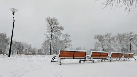 Benches covered by the snow Stock Footage 99897908