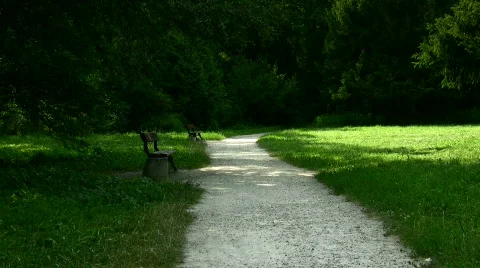 Benches Video stock 808972