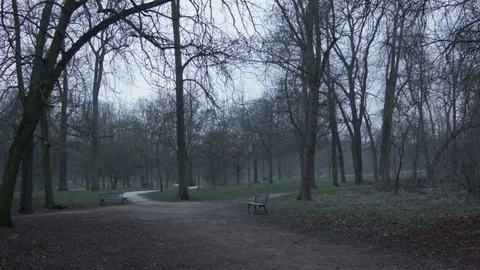 Benches in the forest during winter Stock Footage 71826021