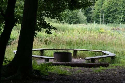 Benches in the forest Stock Photos
