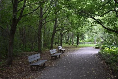 Benches in a garden path Foto stock