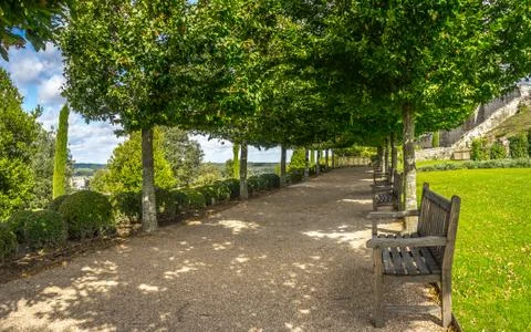 Benches in the garden. Stock Photos