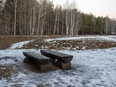 Benches made of logs. Environmentally friendly. Stock Photos