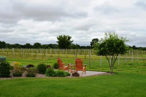 Benches overlooking the vineyard Stock Photos
