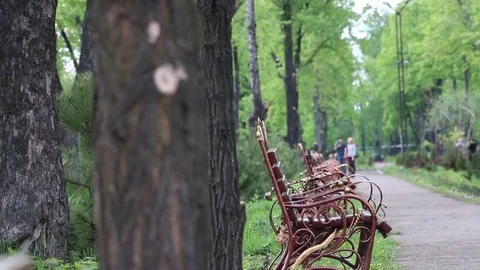 Benches in the Park. Stock Footage 75584754