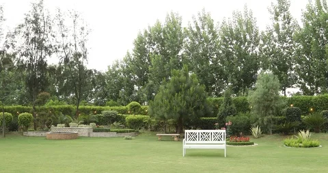 Benches in a Park Video stock 90478656
