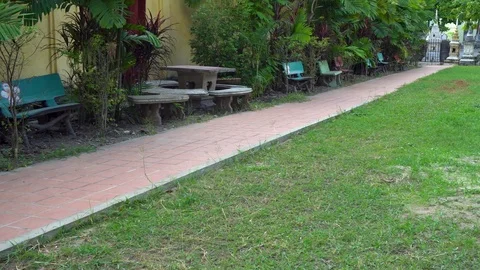 Benches in park - panning motion Stock Footage 83230905