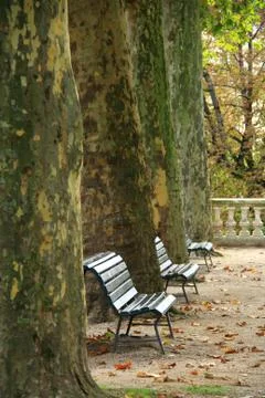 Benches in park Stock Photos