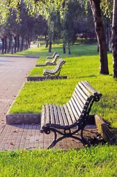 Benches on a park Stock Photos