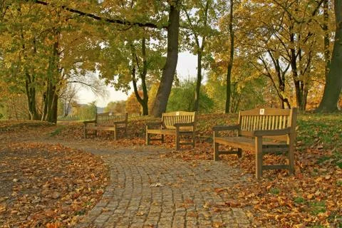 Benches in the park Stock Photos