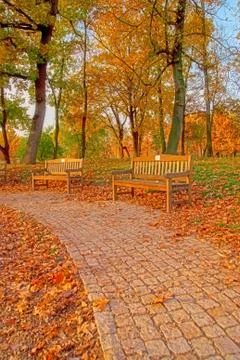 Benches in the park Stock Photos
