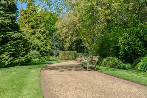 Benches in the park Stock Photos