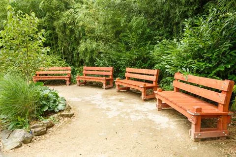 Benches in the park Stock Photos