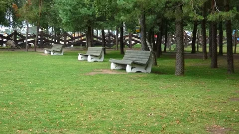 Benches in a park surrounded by trees and open space on a gray day Stock Footage 337964998