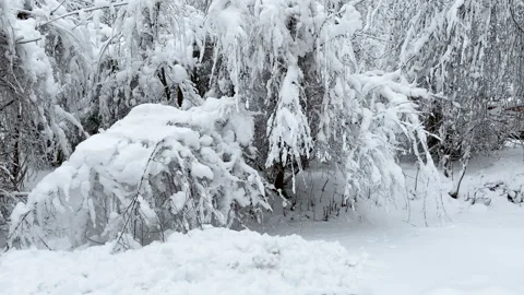 Benches, paths and trees in the park are covered with a thick layer of snow Stock Footage 124418988