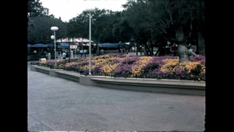 Benches on pavement Video stock 276289767