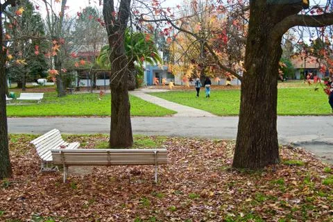 Benches Stock Photos