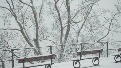 Benches, railing, and trees on the viewing platform in the park are Stock Footage 278436893