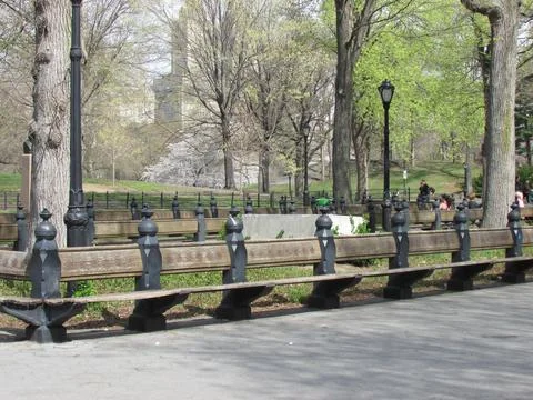 Benches for Rest in the Park Stock Photos
