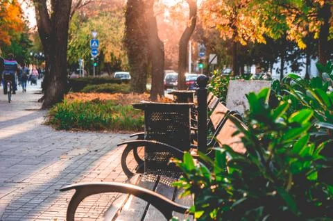 Benches in the streets Stock Photos