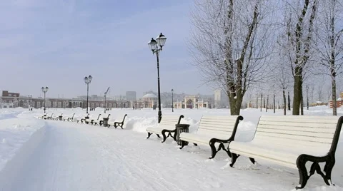 Benches In The Winter Park Stock Footage 57959955