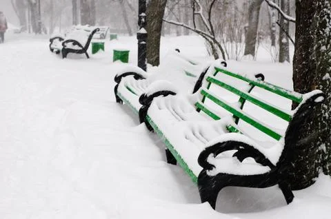 Benches in the winter park Foto stock
